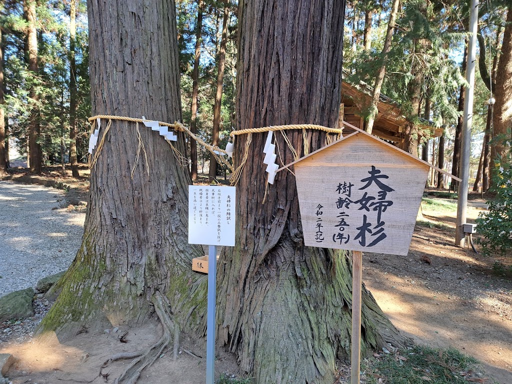 間々田八幡宮 - 御朱印あつめ 