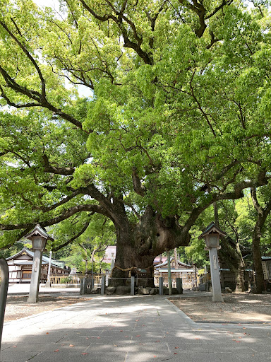 大麻比古神社 - 御朱印あつめ 