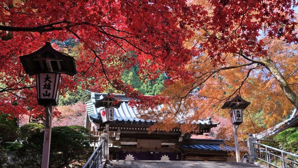 大雄山 最乗寺 - 御朱印あつめ 