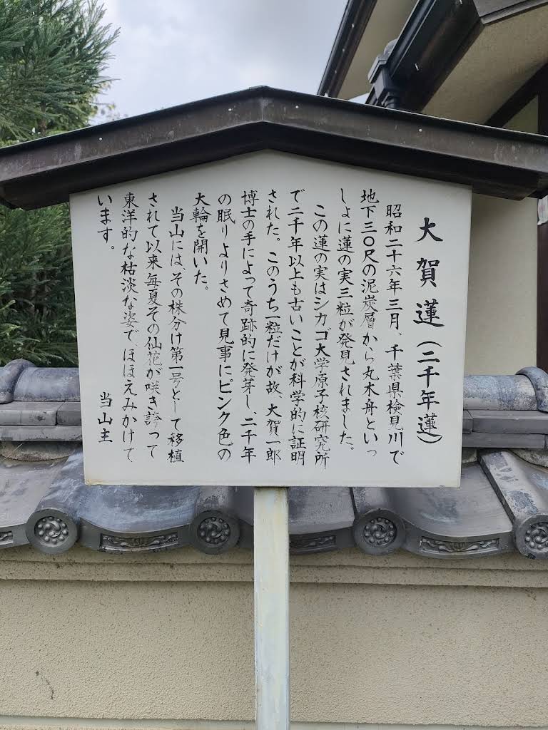 圓林寺 - 御朱印あつめ 